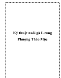 Kỹ thuật nuôi gà Lương Phượng Thảo Mộc