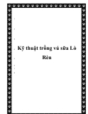 Kỹ thuật trồng vú sữa Lò Rèn