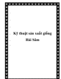  Kỹ thuật sản xuất giống Hải Sâm