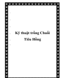 Kỹ thuật trồng Chuối Tiêu Hồng