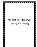  Mô hình nuôi Trùn Quế bảo vệ môi trường