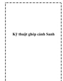 Kỹ thuật ghép cành Sanh