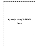 Kỹ thuật trồng Xoài Đài Loan