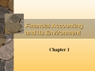 The Financial Accounting and Its Environment