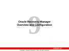 Oracle Recovery Manager Overview and Configuration