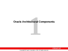 Oracle Architectural Components