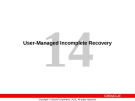 User-Managed Incomplete Recovery