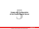 Usage and Configuration of the Oracle Shared Server