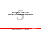 Using Data Dictionary and Dynamic Performance Views