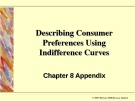 Describing Consumer Preferences Using Indifference Curves