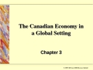 The Canadian Economy in  a Global Setting