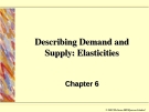 Describing Demand and Supply: Elasticities