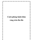 Cách phòng bệnh đóm vòng trên Đu Đủ