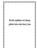 Kinh nghiệm sử dụng phân bón cho hoa Lan