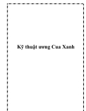 Kỹ thuật ương Cua Xanh