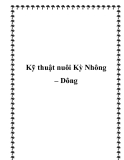 Các kỹ thuật nuôi Kỳ Nhông – Dông