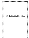 Kỹ thuật ghép Hoa Hồng