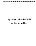 Kỹ thuật kích thích Xoài ra hoa vụ nghịch