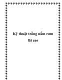 Kỹ thuật trồng nấm rơm lãi cao