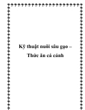 Kỹ thuật nuôi sâu gạo – Thức ăn cá cảnh