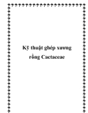 Kỹ thuật ghép xương rồng Cactaceae