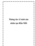 Thông tin về sinh sản nhân tạo Rắn Mối