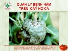 Quản lý bệnh nấm cây họ cà  ( Nguyễn Văn Thiệu)