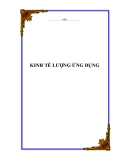  BÀI GIẢNG KINH TẾ LƯỢNG ỨNG DỤNG