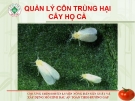 Quản lý côn trùng cây họ cà  ( Nguyễn Văn Thiệu)