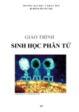 GIÁO TRÌNH SINH HỌC PHÂN TỬ - CHƯƠNG 2: SINH HỌC PHÂN TỬ