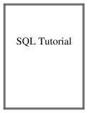 Câu lệnh truy vấn SQL Tutorial