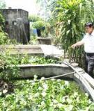 Kỹ thuật xây dựng hồ nuôi Ba Ba