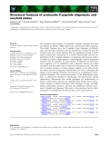 Báo cáo khoa học: Structural features of proinsulin C-peptide oligomeric and amyloid states