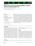 Báo cáo khoa học: BRCA1 16 years later: risk-associated BRCA1 mutations and their functional implications