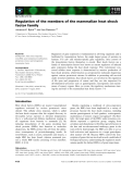 Báo cáo khoa học:  Regulation of the members of the mammalian heat shock factor family