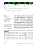 Báo cáo khoa học: Tumor suppressor p16INK4a: Downregulation of galectin-3, an endogenous competitor of the pro-anoikis effector galectin-1, in a pancreatic carcinoma model