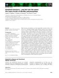 Báo cáo khoa học: Amyloid structure – one but not the same: the many levels of ﬁbrillar polymorphism