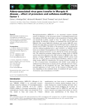 Báo cáo khoa học: Adeno-associated virus gene transfer in Morquio A disease – effect of promoters and sulfatase-modifying factor 1
