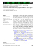 Báo cáo khoa học: Protein and mRNA content of TcDHH1-containing mRNPs in Trypanosoma cruzi