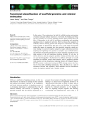 Báo cáo khoa học: Functional classiﬁcation of scaffold proteins and related molecules