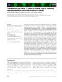 Báo cáo khoa học: Transmembrane helix 12 plays a pivotal role in coupling energy provision and drug binding in ABCB1