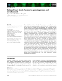 Báo cáo khoa học: Roles of heat shock factors in gametogenesis and development