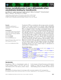 Báo cáo khoa học: Human metallothioneins 2 and 3 differentially affect amyloid-beta binding by transthyretin