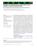 Báo cáo khoa học: Expression of cholinesterases in human kidney and its variation in renal cell carcinoma types