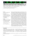 Báo cáo khoa học: High diversity of polyketide synthase genes and the melanin biosynthesis gene cluster in Penicillium marneffei