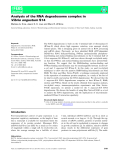 Báo cáo khoa học: Analysis of the RNA degradosome complex in Vibrio angustum S14