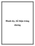 Hành tây, bổ thận tráng dương