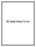 Các kỹ thuật trồng Ca Cao