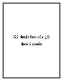 Kỹ thuật làm cây già theo ý muốn