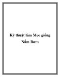 Kỹ thuật làm Meo giống Nấm Rơm